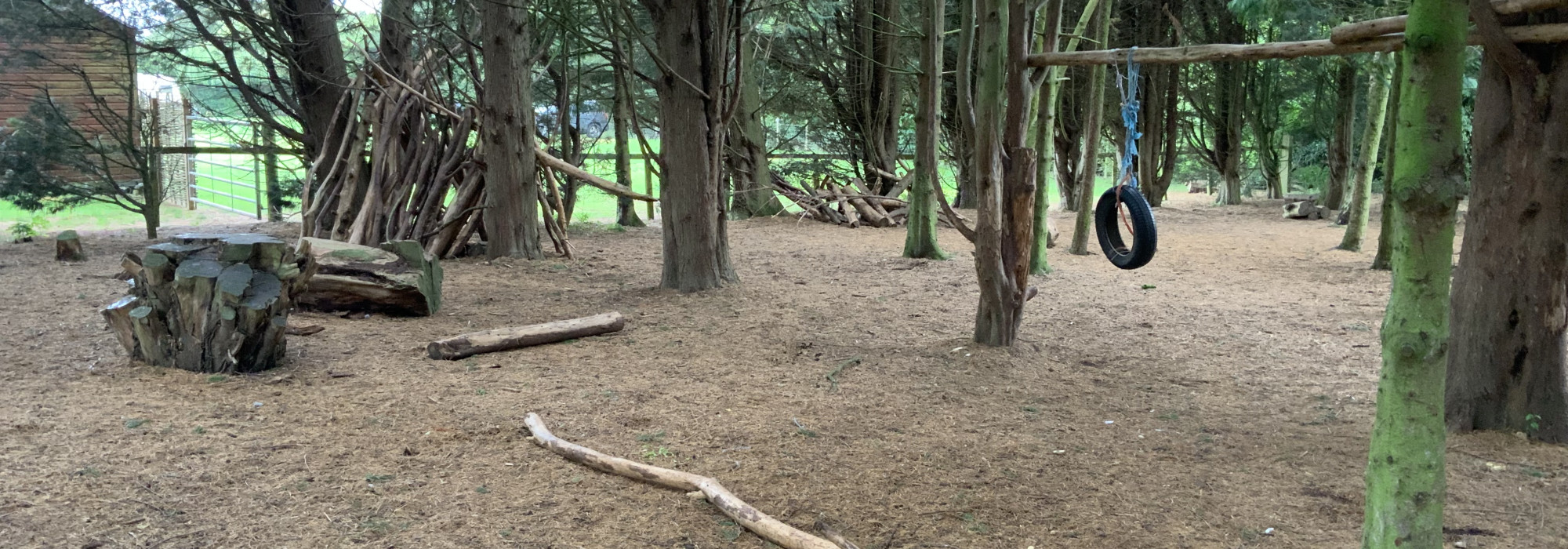 Woodland Area 